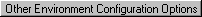 Other Environment Configuration Options
