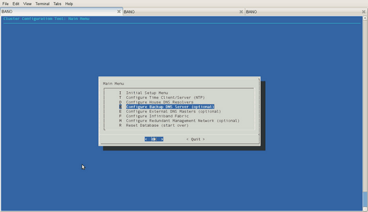 Configure Backup DNS Server Option Screen
