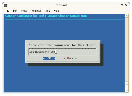 Update Cluster Domain Name Screen