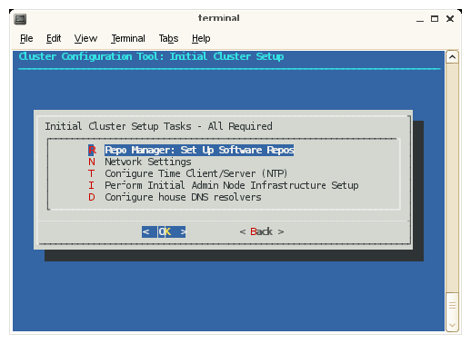 Initial Cluster Setup Tasks Screen