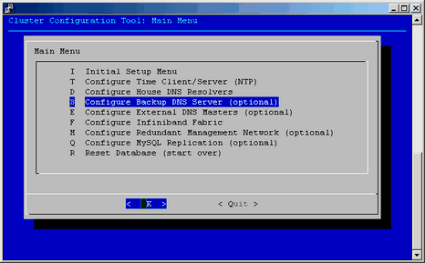 Configure Backup DNS Server Option Screen
