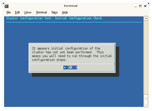 Cluster Configuration Tool: Initial Configuration Check
 Screen